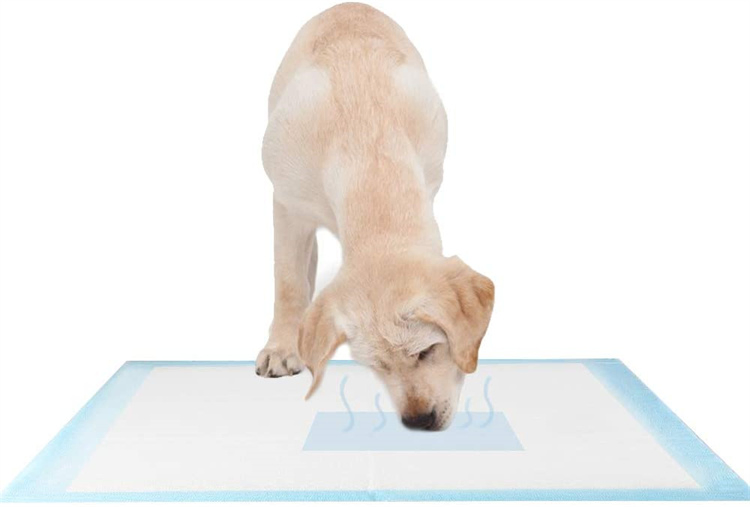 Fabricante 6 Capas a Prueba de Fugas Desechables PEE Pads con Logo Personalizado, Tamaño, Paquete