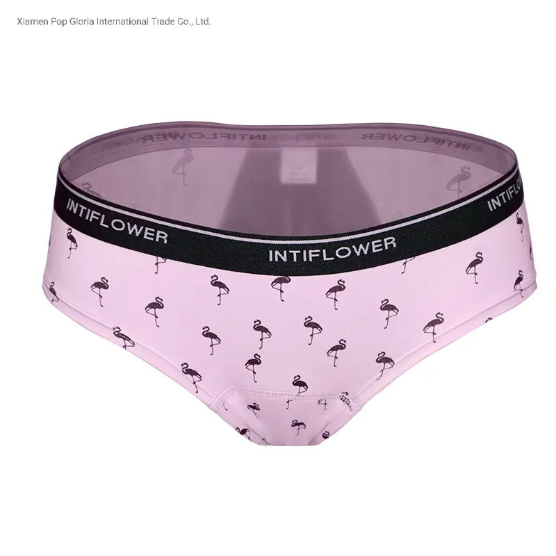 Diseño Menstrual 1