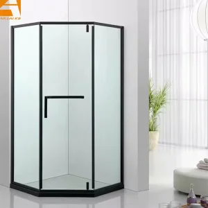 Matte Black Glass Shower Enclosure Pivot Door