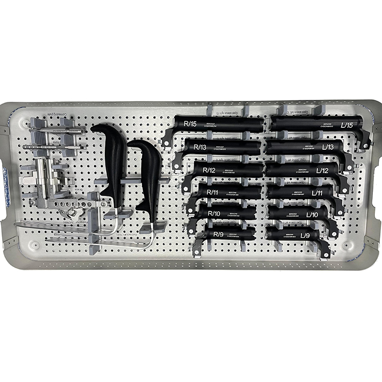 Geasure Peek Cage Orthopedic Instruments Bone Surgical Instrument Sets Spinal Surgical OLIF Peek Cage Instrument Set