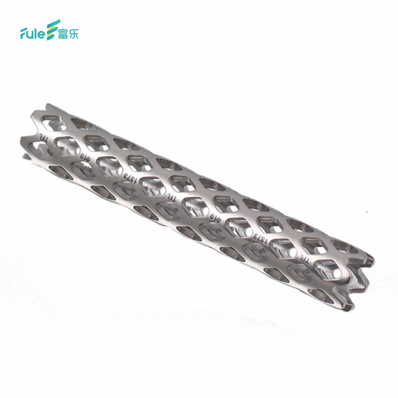 Latest Spine Surgery Titanium Implant FATA Mesh Combination Interventional Materials Product