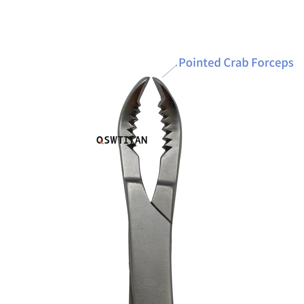 Pointed Bone Reduction Forceps Autoclavable Toothed Serrated Head Stainless Steel Veterinary Orthopedic Instrument