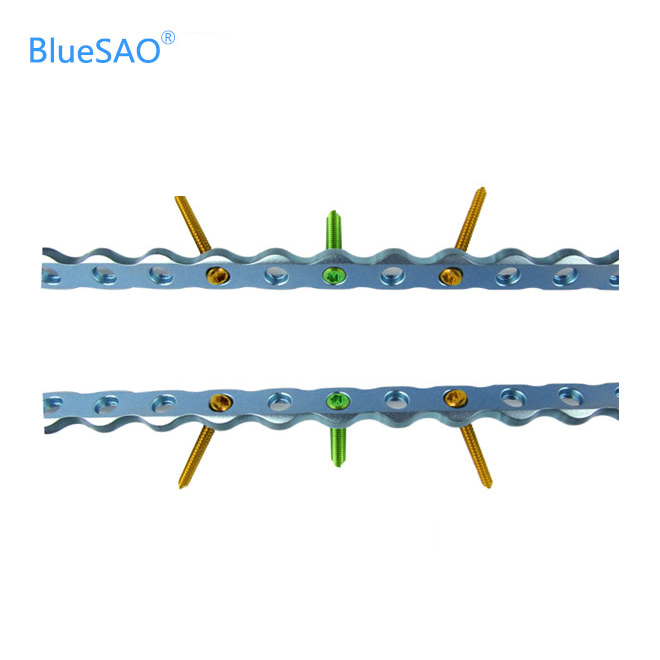 Wholesale Price Bluesao Veterinary Bone Implants Titanium Orthopedic Implants
