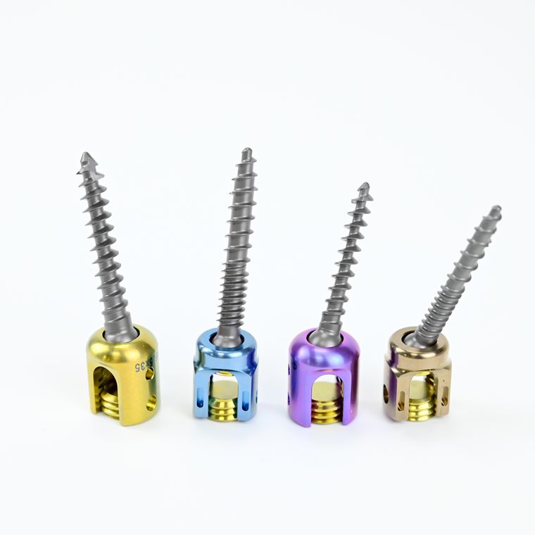 Spinal Pedicle Screw