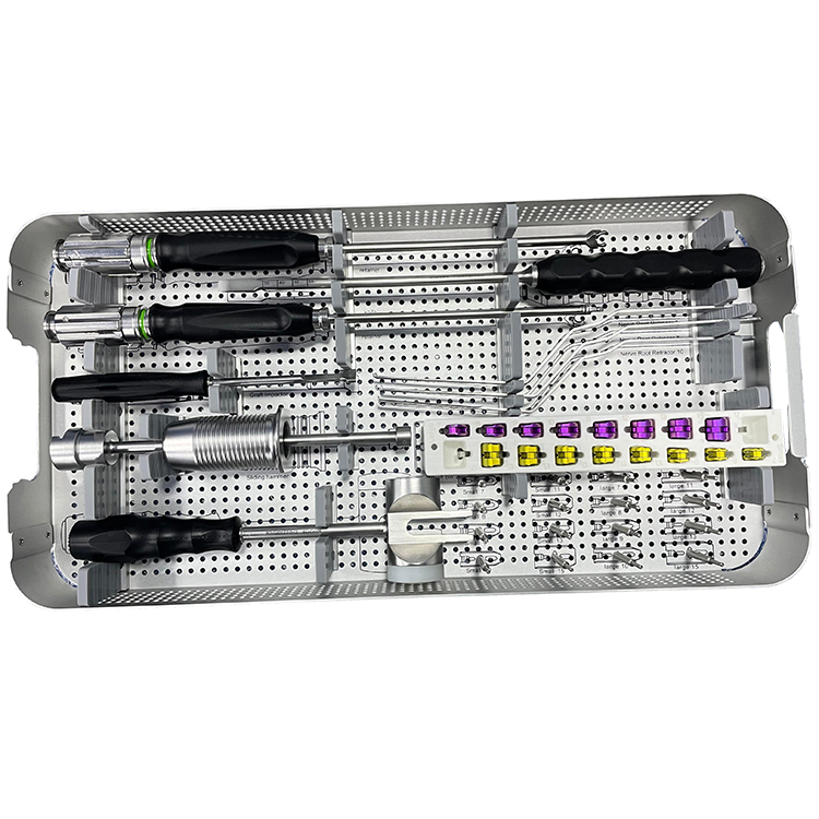 Geasure Ortopedia TILF Peek Cage Surgical Instruments Set for Spine Interventional Materials Orthopedic Implants