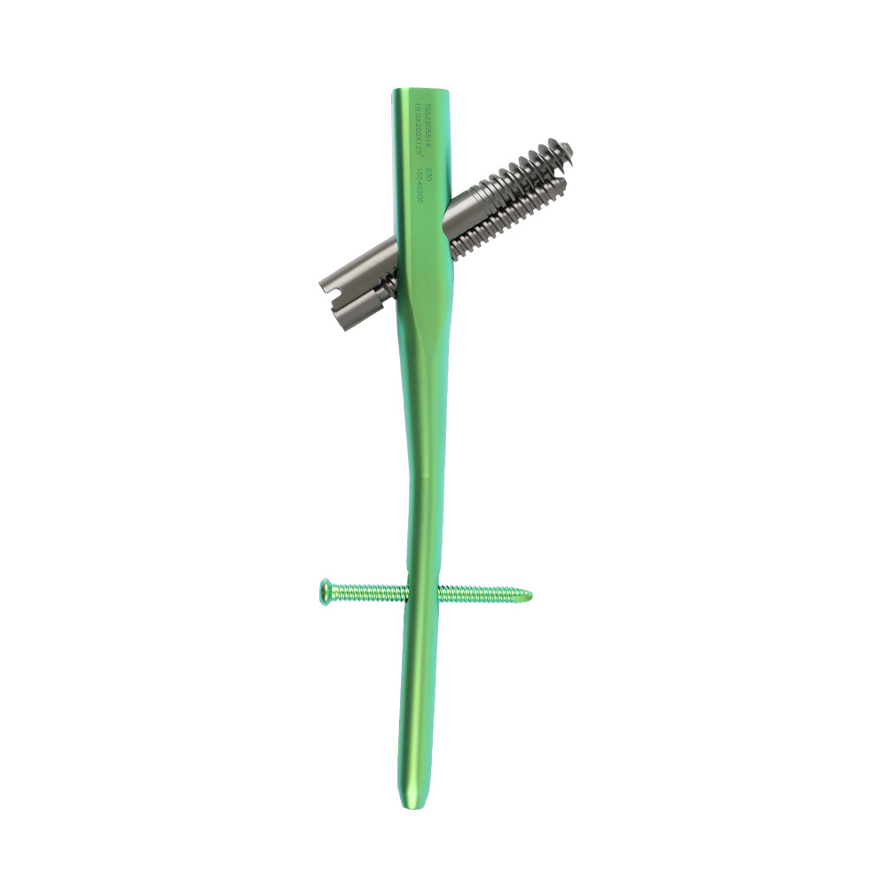 Geasure Titanium Intramedially Nail (PFNA/INTERTAN) Double Blade Femoral Interlocking Nail Implants Interventional Materials