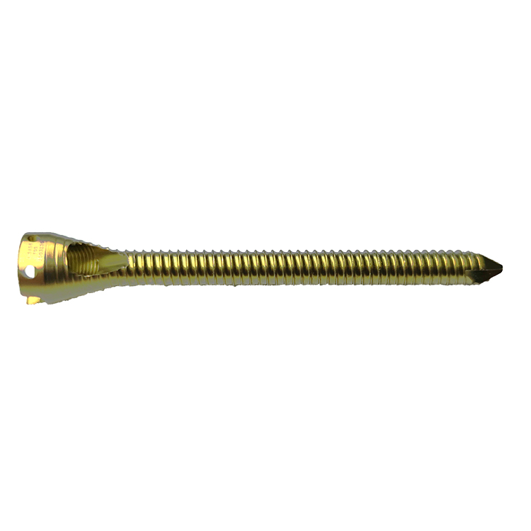 Intramedullary Nail
