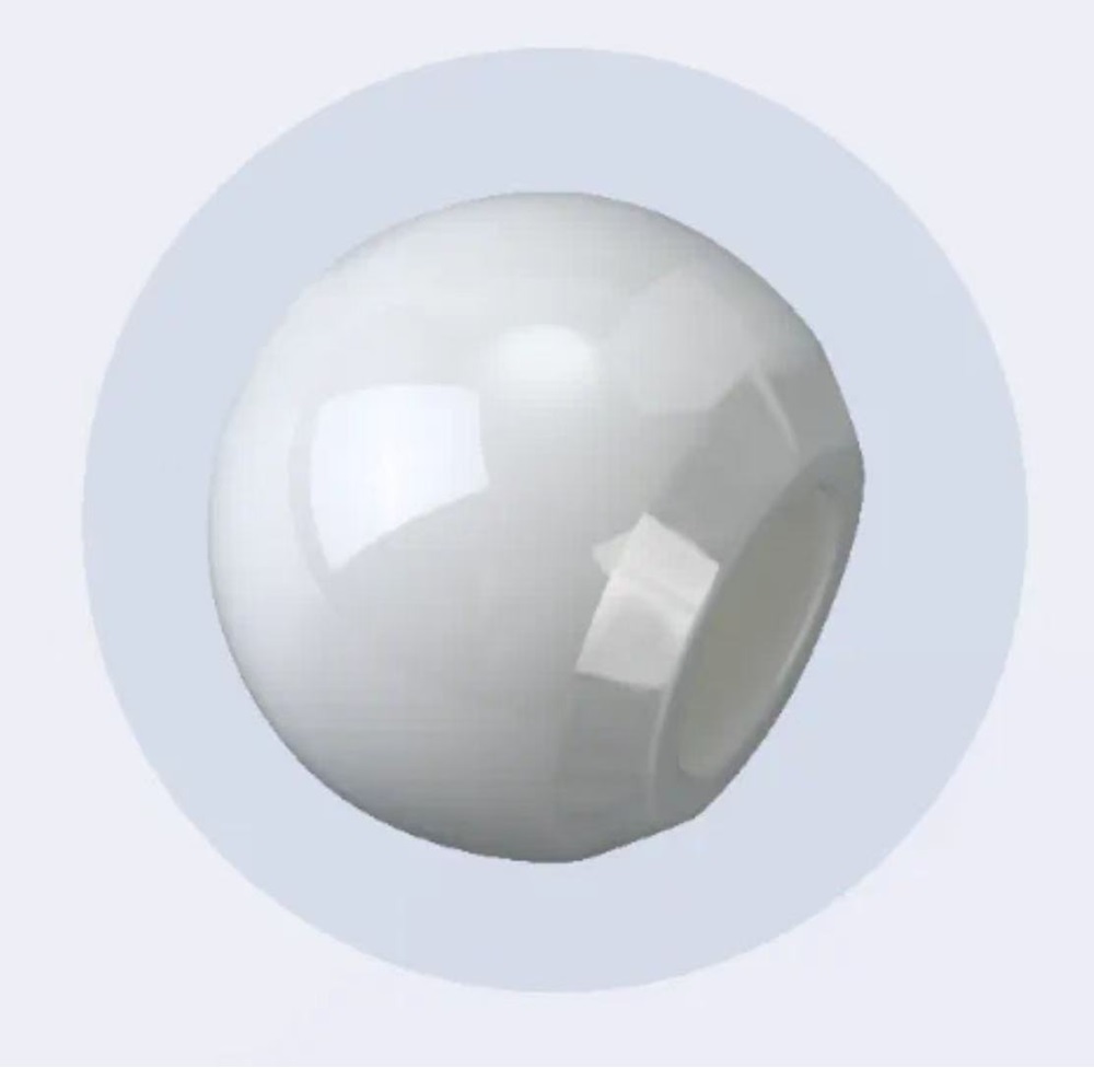 Femoral Head 3