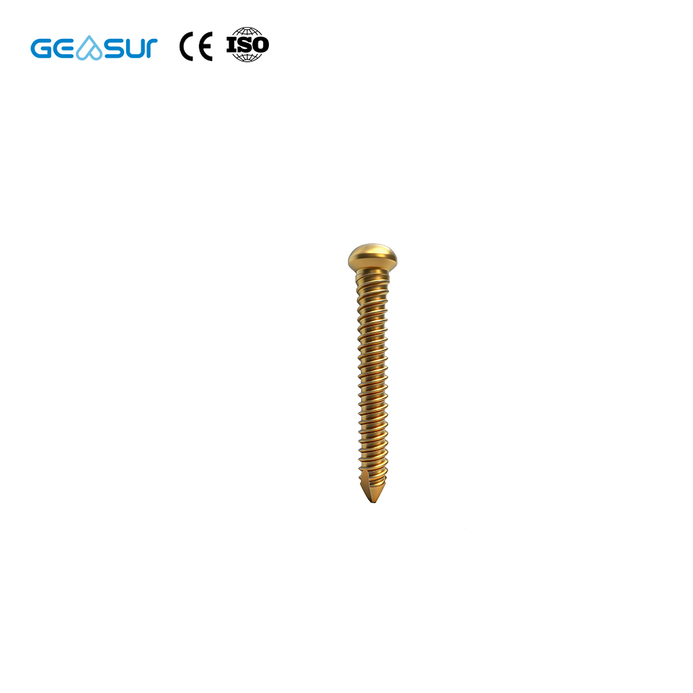 Geasure Type I Class III Implantable Intramedullary Nail-Anatomical Design Proximal Femoral Fracture Fixation Superior Stability