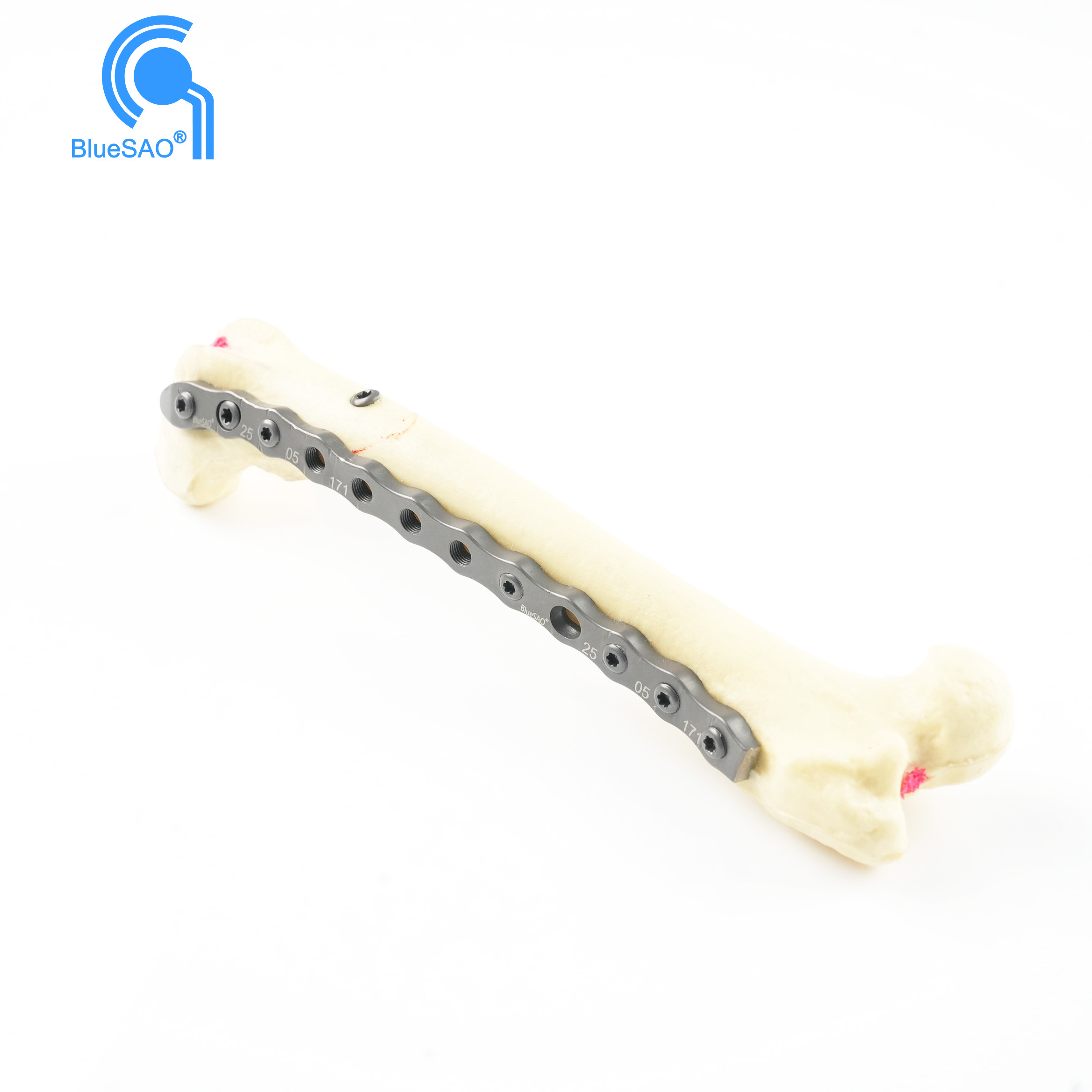 Animal LCP Bone Plate  System for Small Pet Orthopedic Surgery