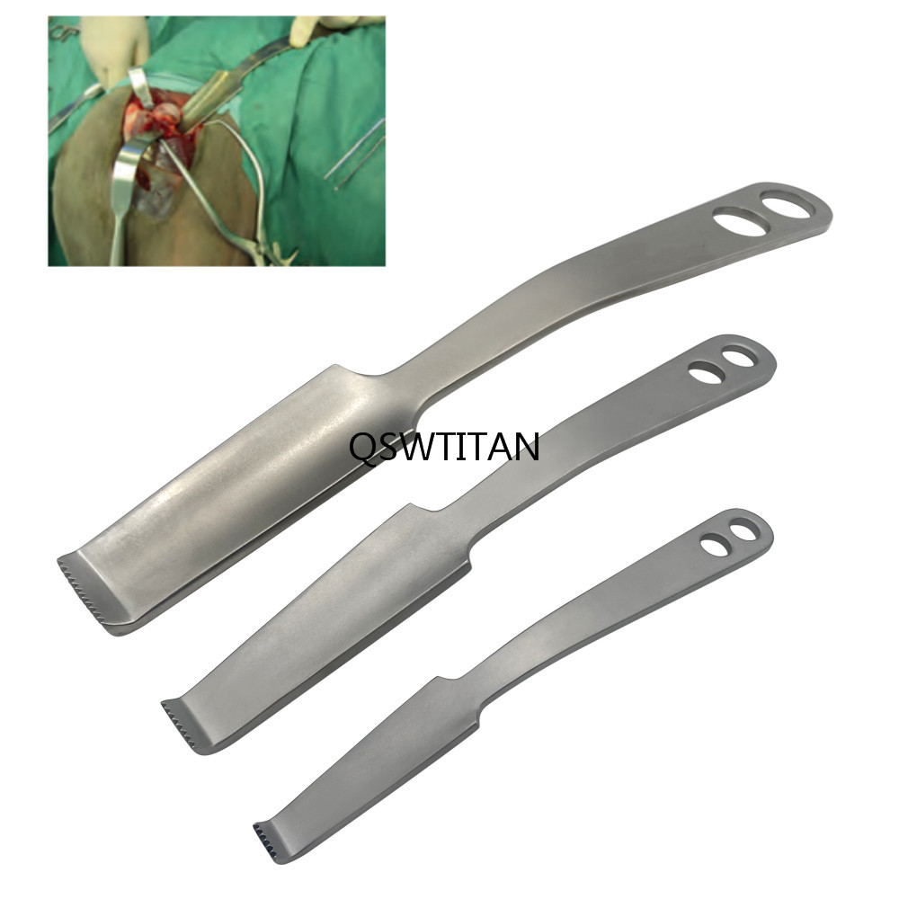 Femoral Head Femoral Bone Pry Femoral Retractor Hip Replacement Pulling Hook with Teeth Stripping Orthopedic Surgery Instrument