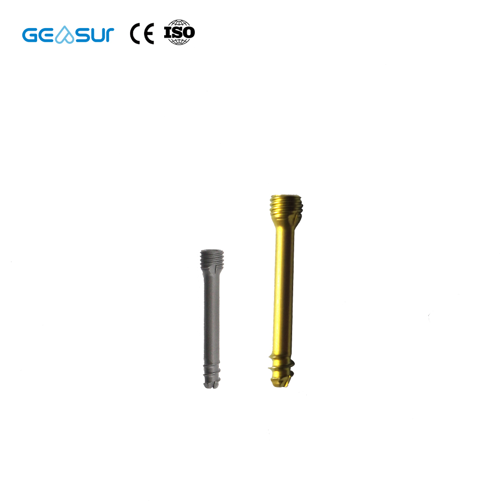Geasure Titanium Cannulated Compression Screw System-CE & ISO 13485 Certified Class III Hospital Orthopedic Implant