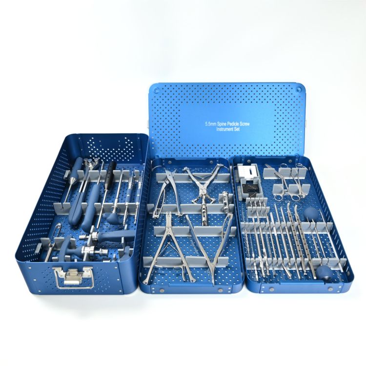 Spinal Pedicle Screws Detail 1