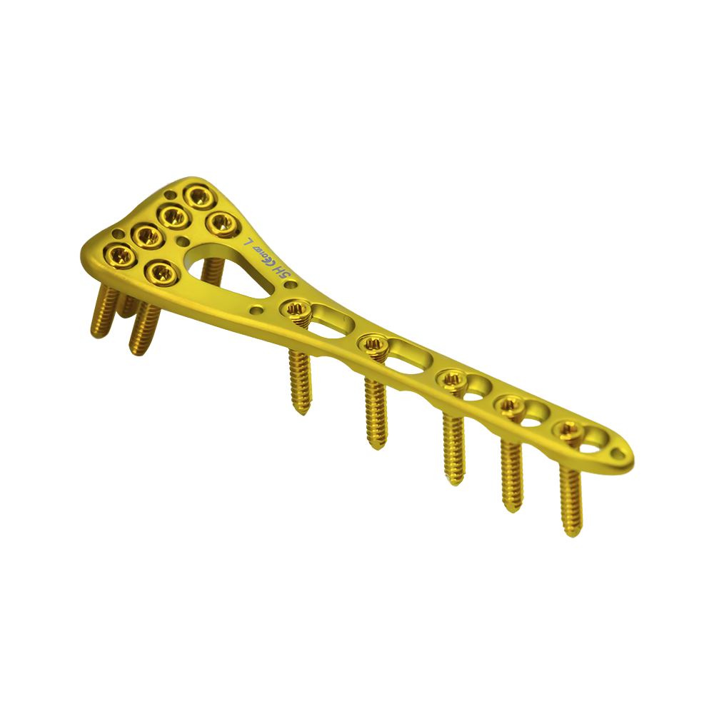 Product View 1