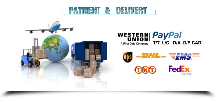 Payment and Delivery Information