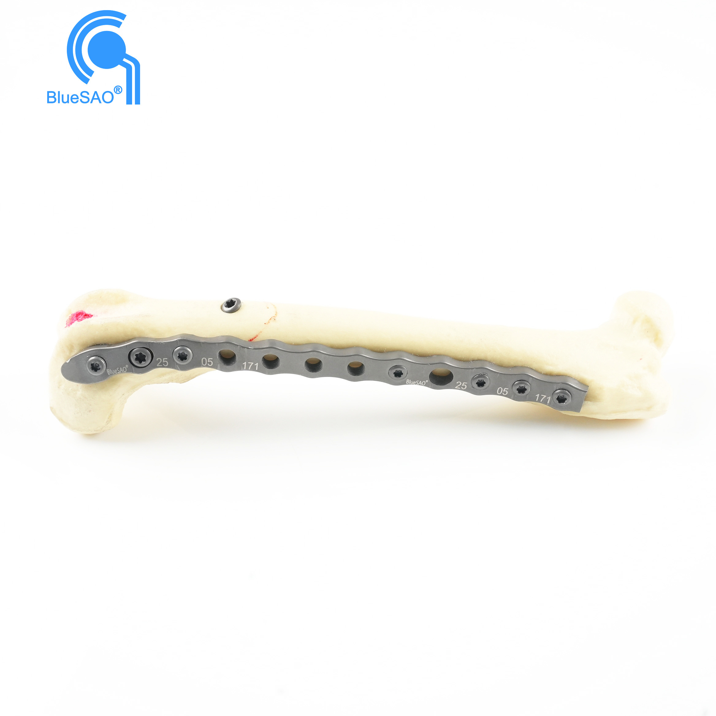 Animal LCP Bone Plate  System for Small Pet Orthopedic Surgery