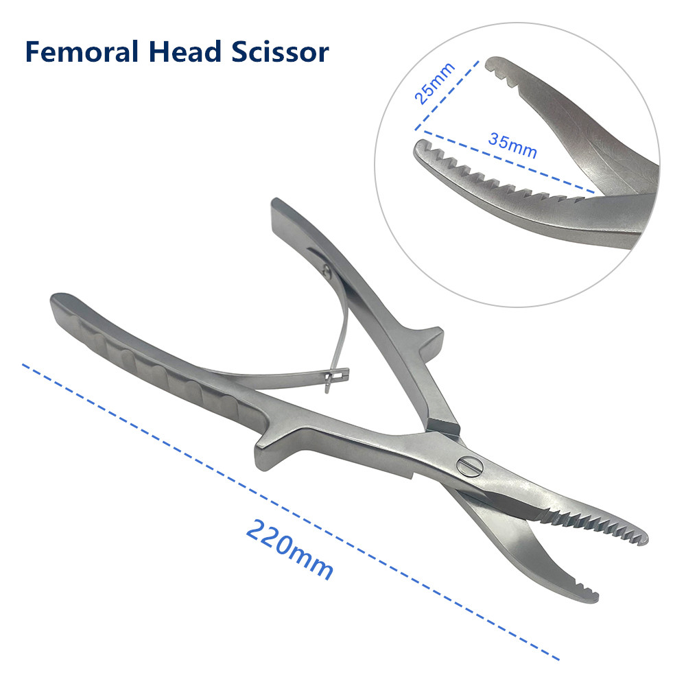 Stainless Steel Orthopedics Bone Scissors 220mm Bone Cutter Scissors Femoral Head Scissors Orthopedics Surgery Instruments