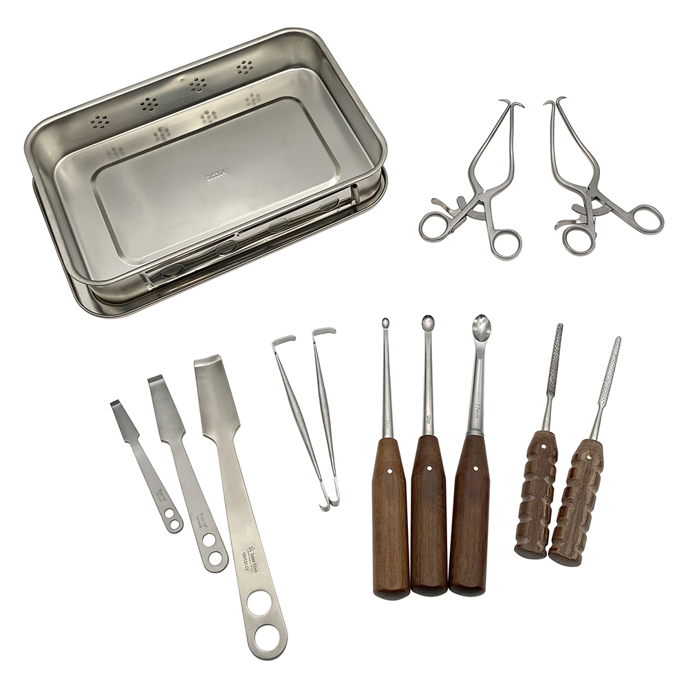 Orthopedic Animal Hip Joint Operating Hip Arthroplasty Set Hatt Spoon Hip Retractor Bone Rasps Pet Surgical Instruments