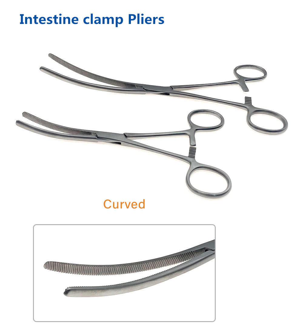 Intestine Pliers Bowel Clamps Intestinal Forceps Abdominal Clamping Fixed Pet Cat Dog Orthopedic Surgical Instruments