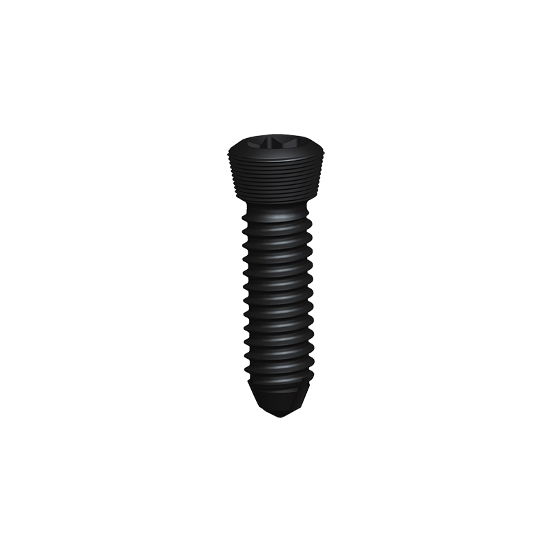 High Quality CE Marked Titanium Trauma Locking Screws for Bone Fracture Fixation Implants