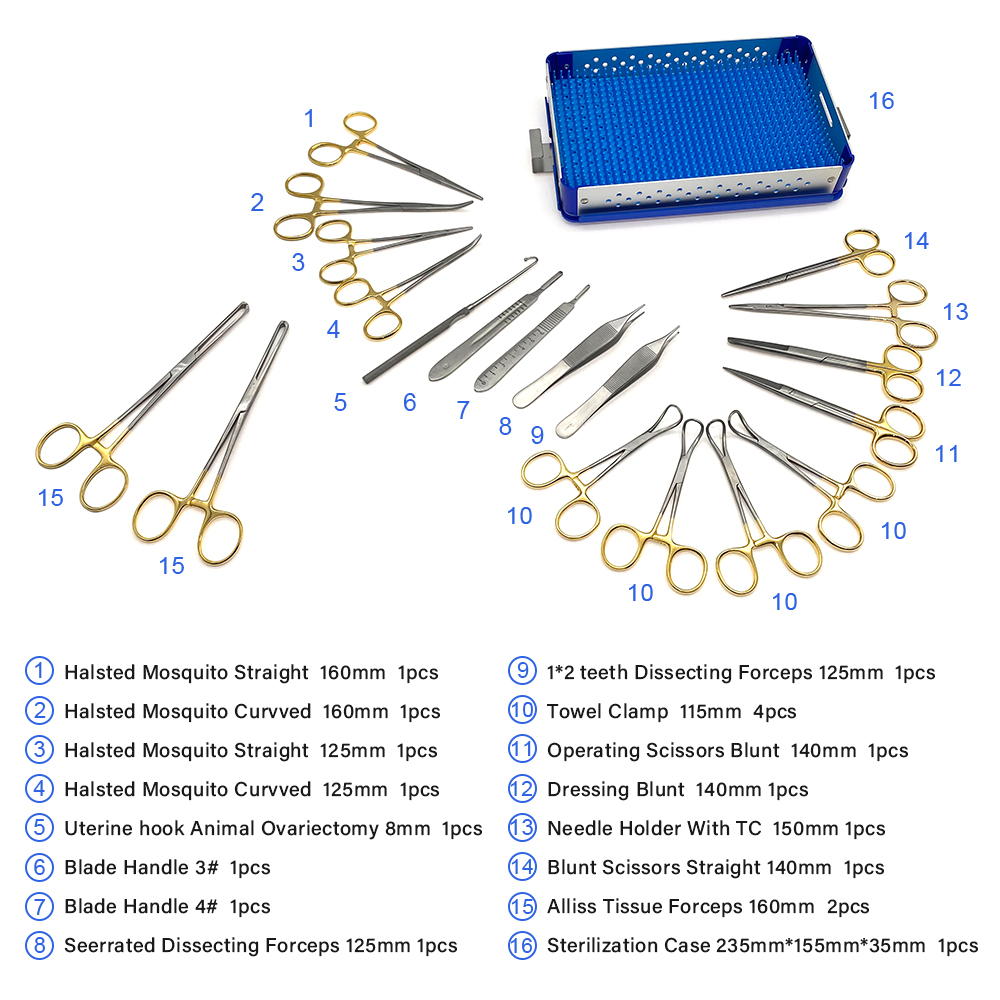 Case Details