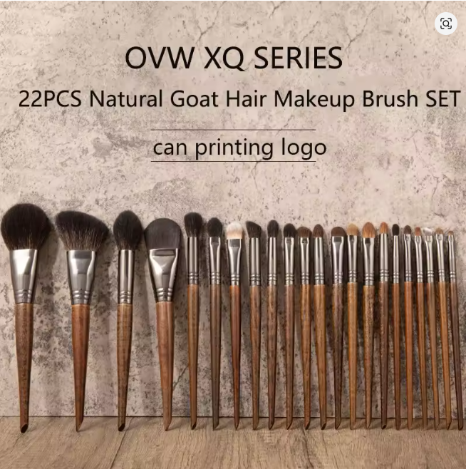 Professional Full Set 22 Pcs Goat Hair Wood Handle Makeup Brushes Set Beauty Tools Kit for Beginners