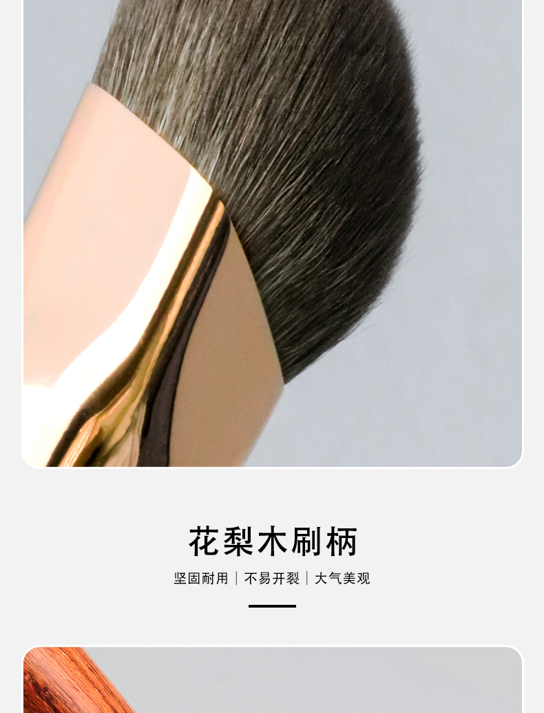 Makeup Brush Showcase 6