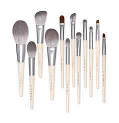 Professional Makeup Brush Set