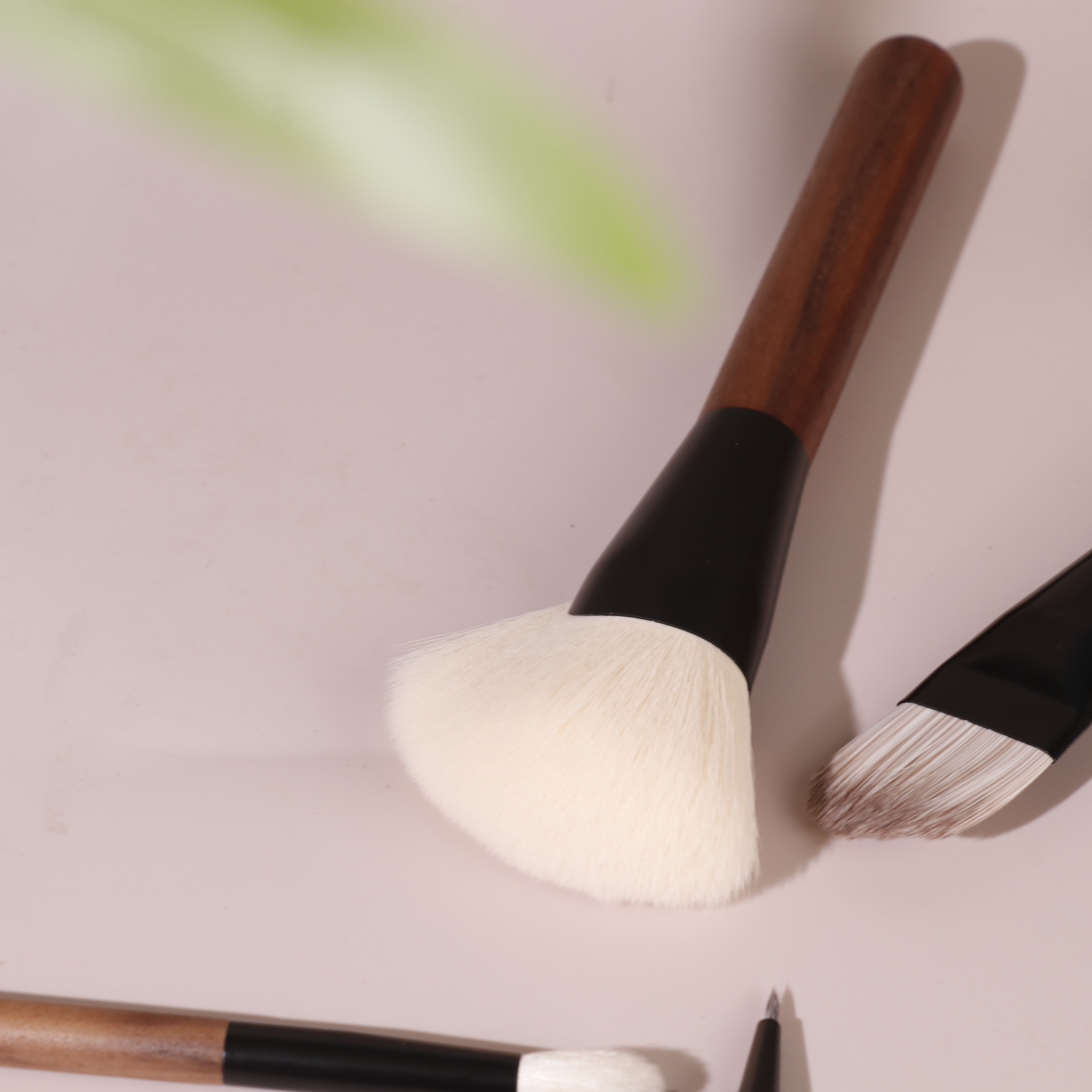 Professional Makeup Brush Set 10