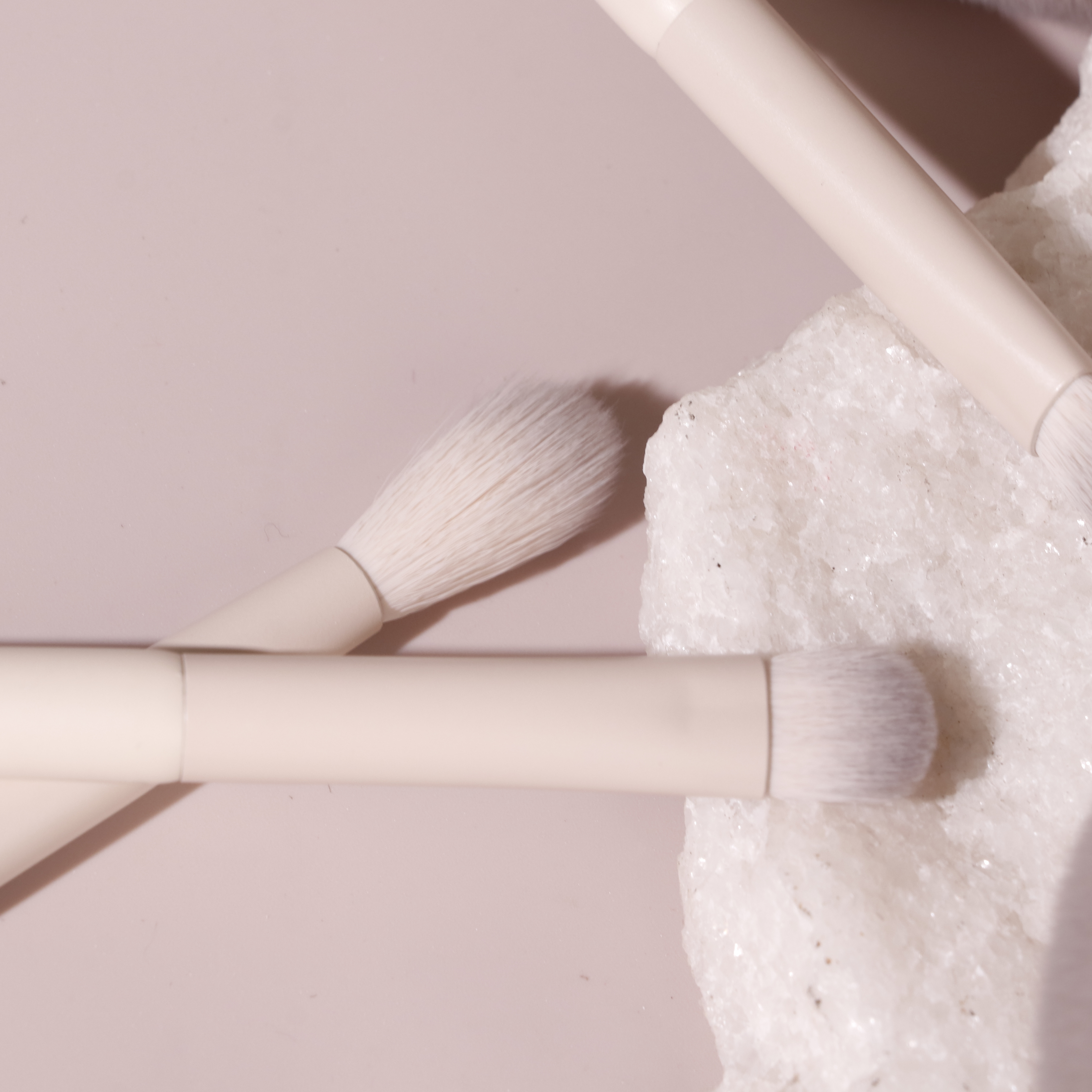 Makeup Brush Set look