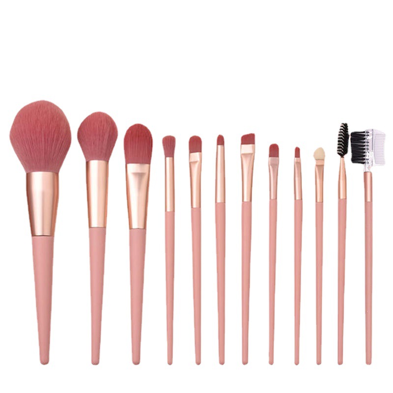 12-Piece Pink Makeup Brush Set Soft Loose Powder Foundation Brushes Beginner-Friendly Eye Shadow Beauty Makeup Tools