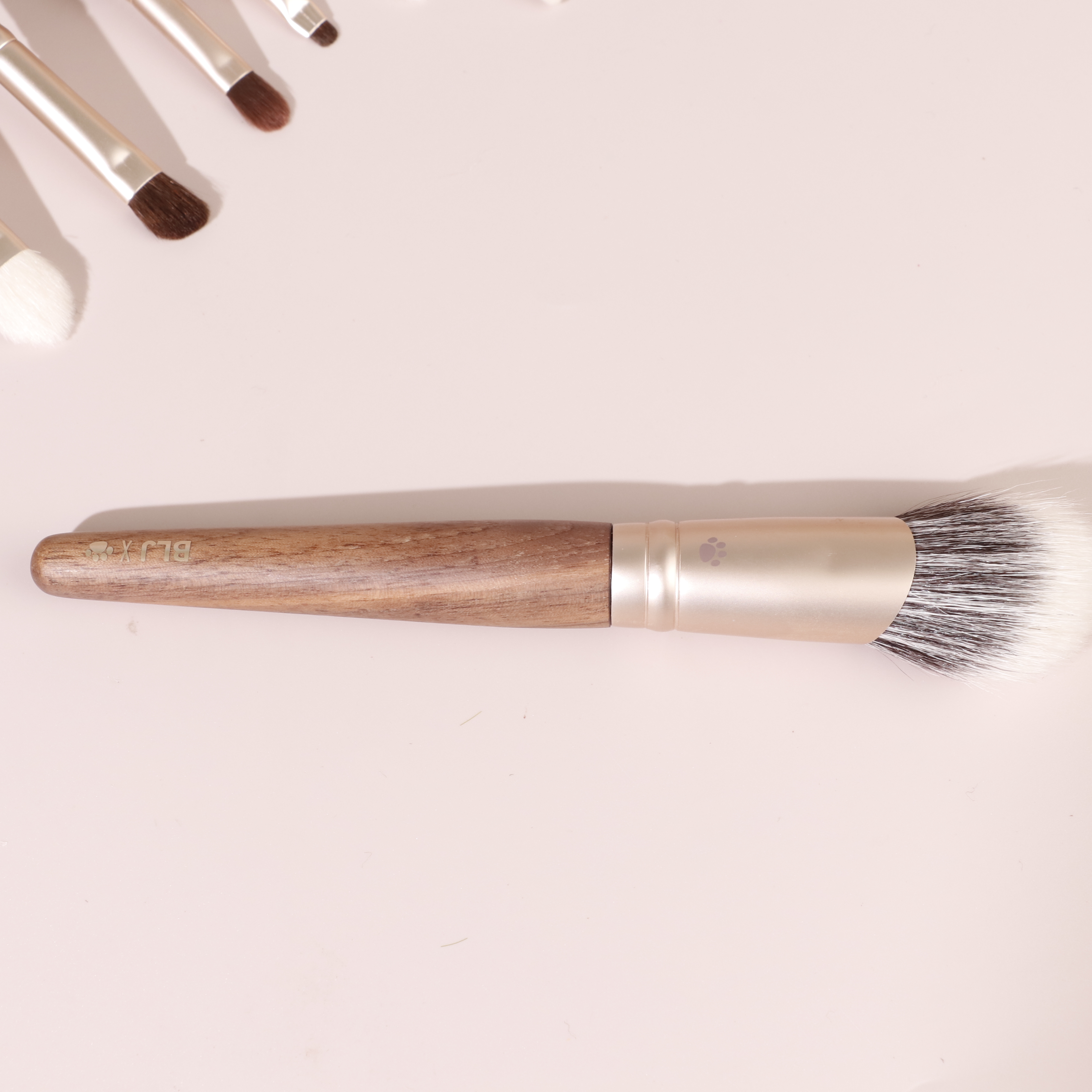 Makeup Brush Detail 2