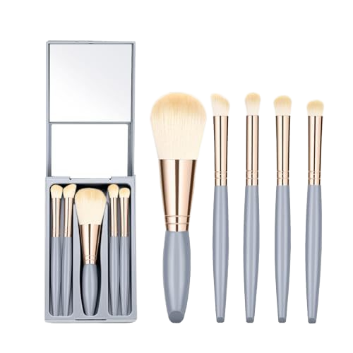HMU 5pcs Mini Small Size Eye Shadow Kit Travel Eyeshadow Cosmetics Makeup Brush Set With Mirror Case