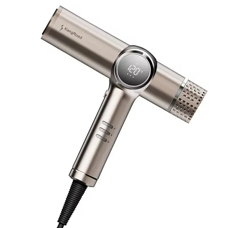 Custom 1200W BLDC Hair Dryer with Negative Ionic & Precise Contorl