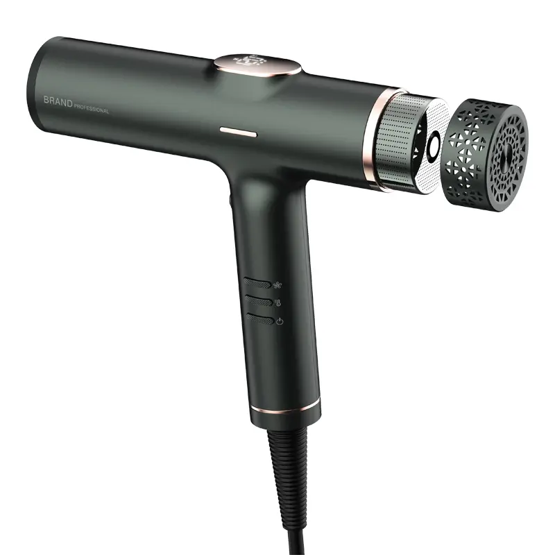 Custom Advanced Ionic Hair Dryer With Low Noise BLDC Motor, 110000 RPM