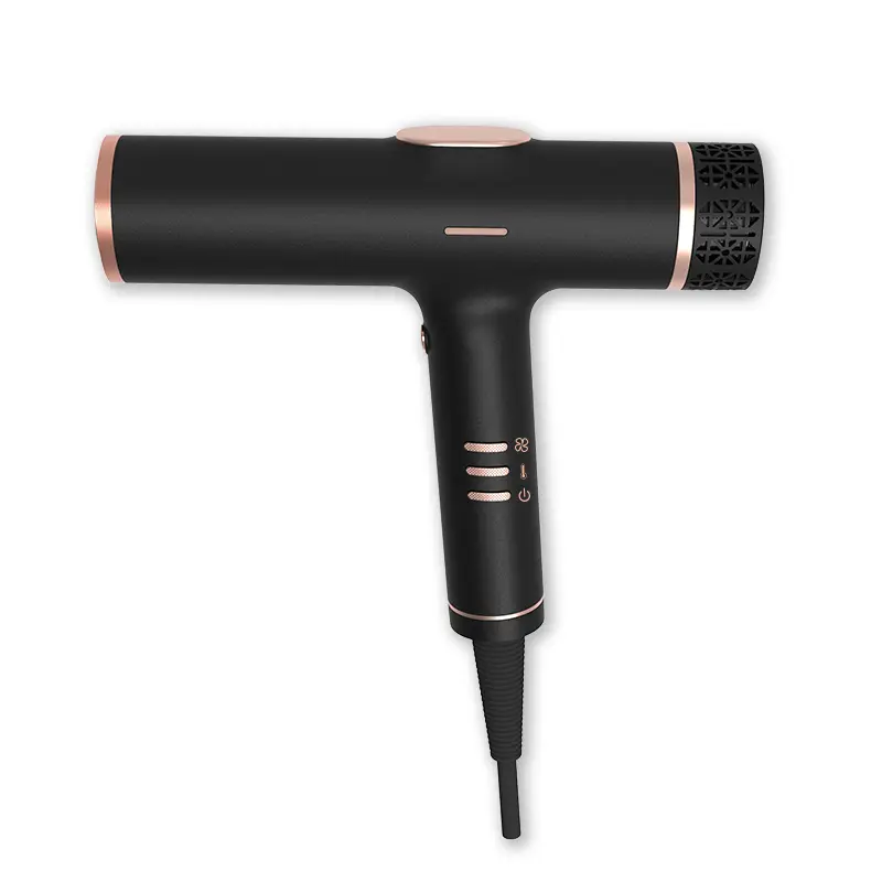Custom Advanced Ionic Hair Dryer With Low Noise BLDC Motor, 110000 RPM