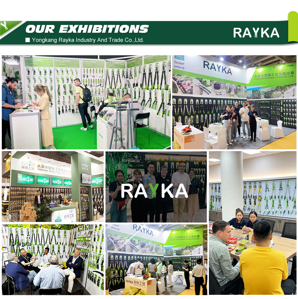Exhibitions