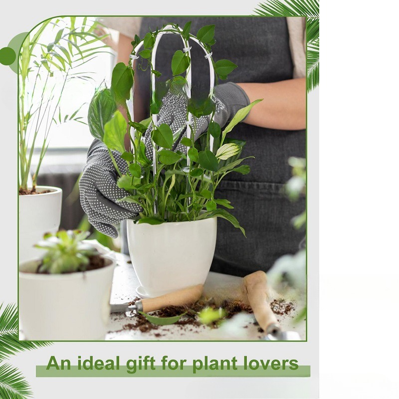 Clear Acrylic U-Shaped Plant Trellis