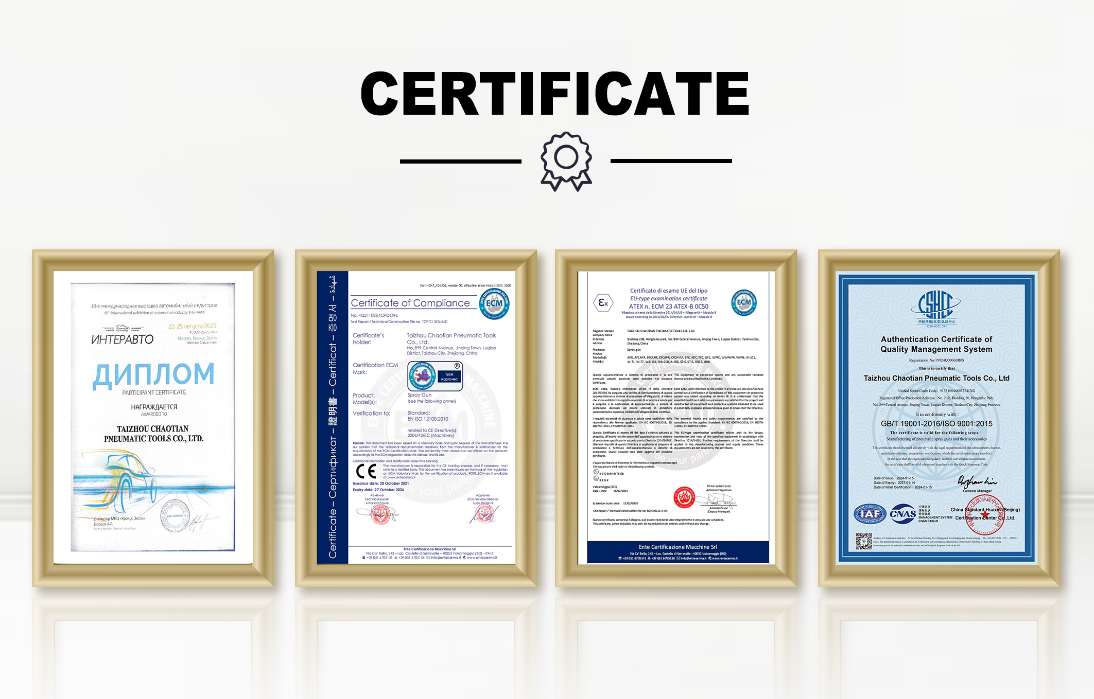 Company Profile