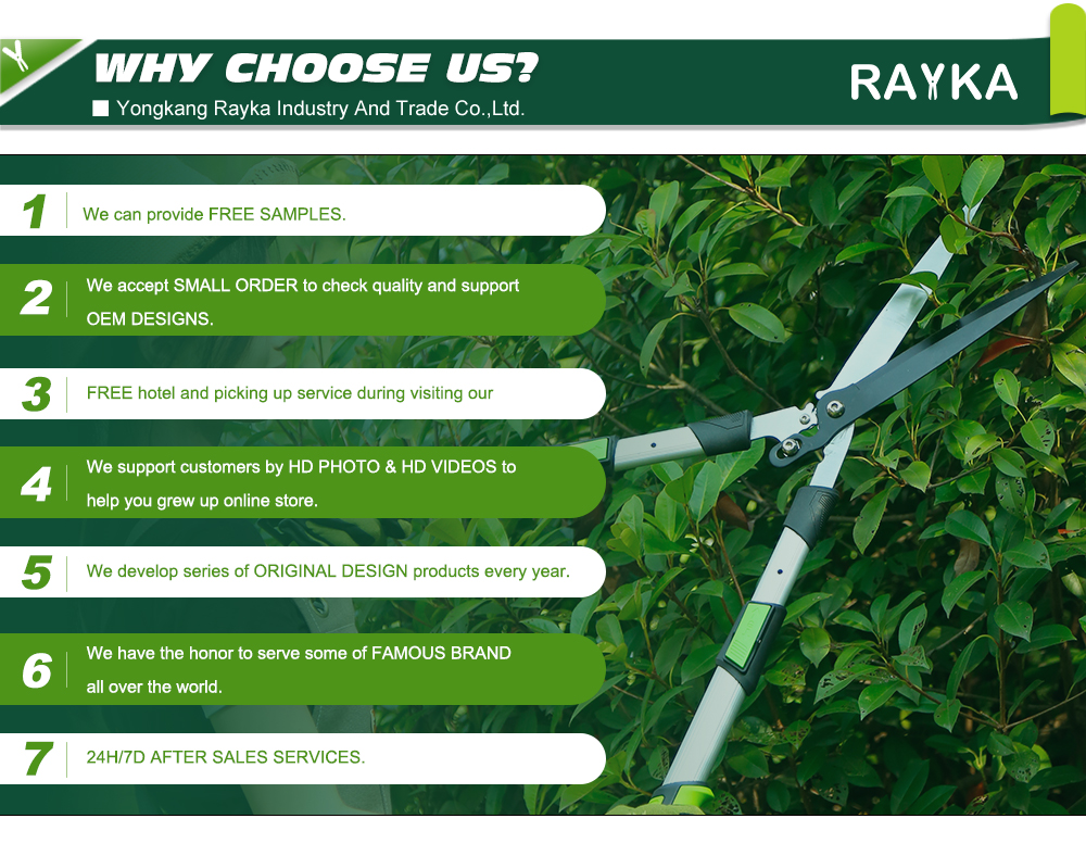 Why Choose Us