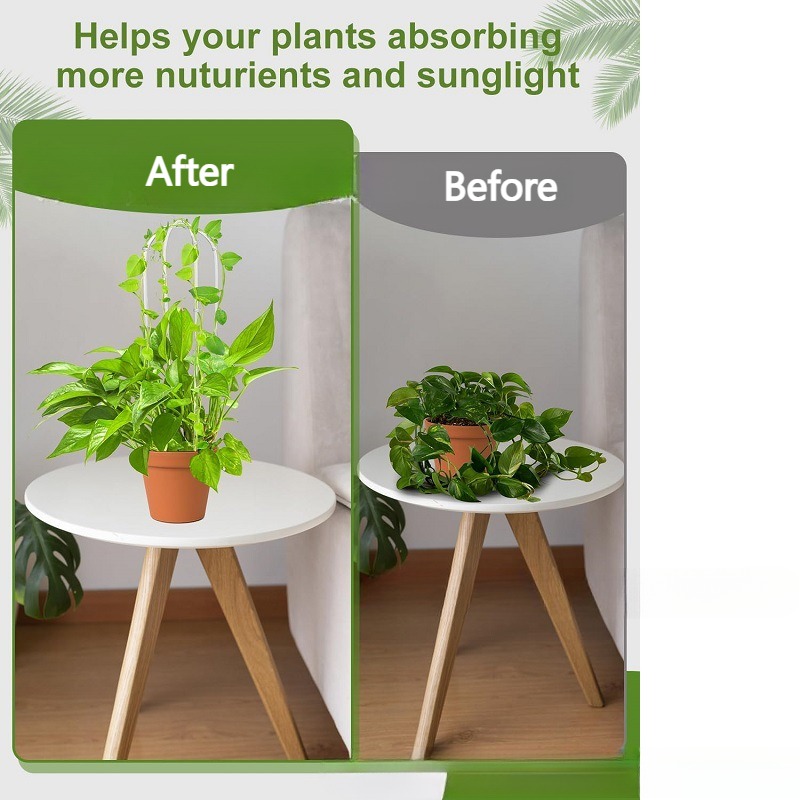 Clear Acrylic U-Shaped Plant Trellis