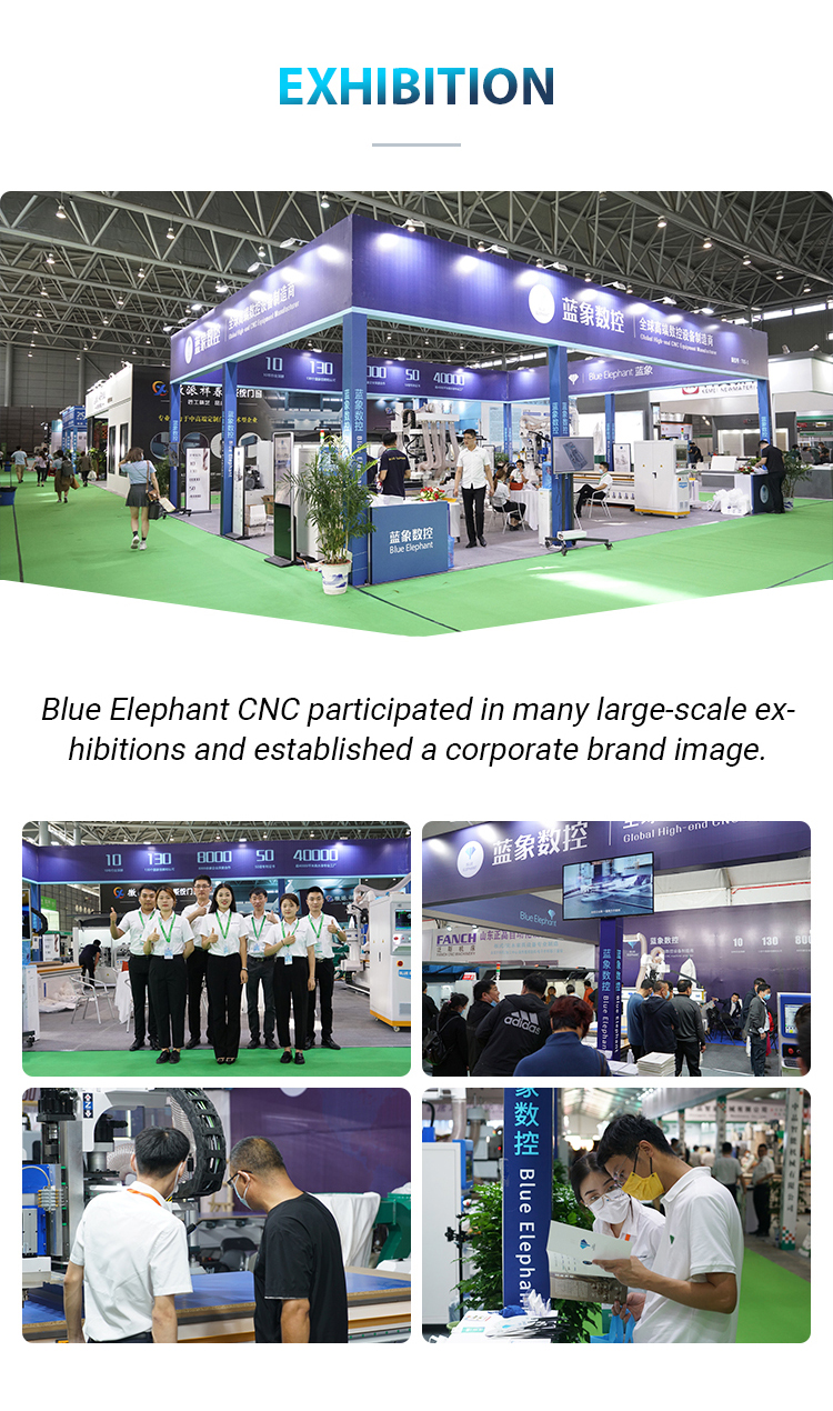Exhibition Show