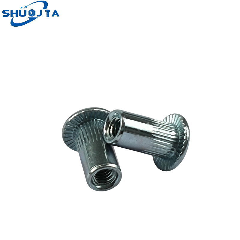 Premium Zinc Plated Class 8.8 Flat-Head Internal Hex Rivet Nuts Secure Fastening Tool for Secure Attachment