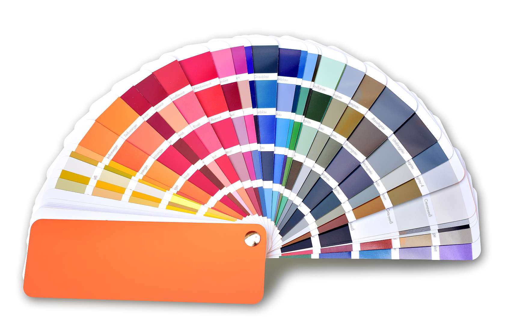 Color Customization