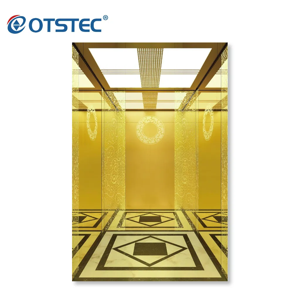 Safety Stainless Steel Mirror Luxury Gearless Residential Home Elevator Passenger Lift