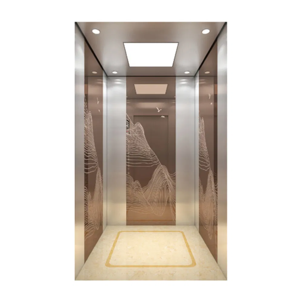 Villa Apartment Commercial Passenger Elevator 800kg Residential Home Electric Lift