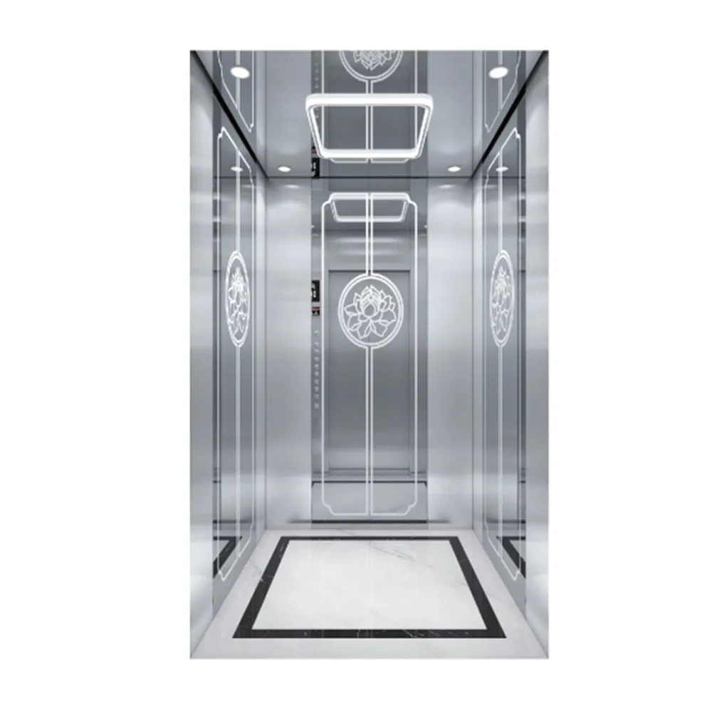 Villa Apartment Commercial Passenger Elevator 800kg Residential Home Electric Lift