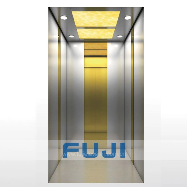 FUJI Goods Elevator Residential Home Lift Passenger Lift for Sale