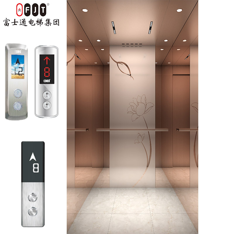 Chinese Factory Custom Elevator Lift for Home Residential House Apartment Small Villa with Compact Size Low Pit