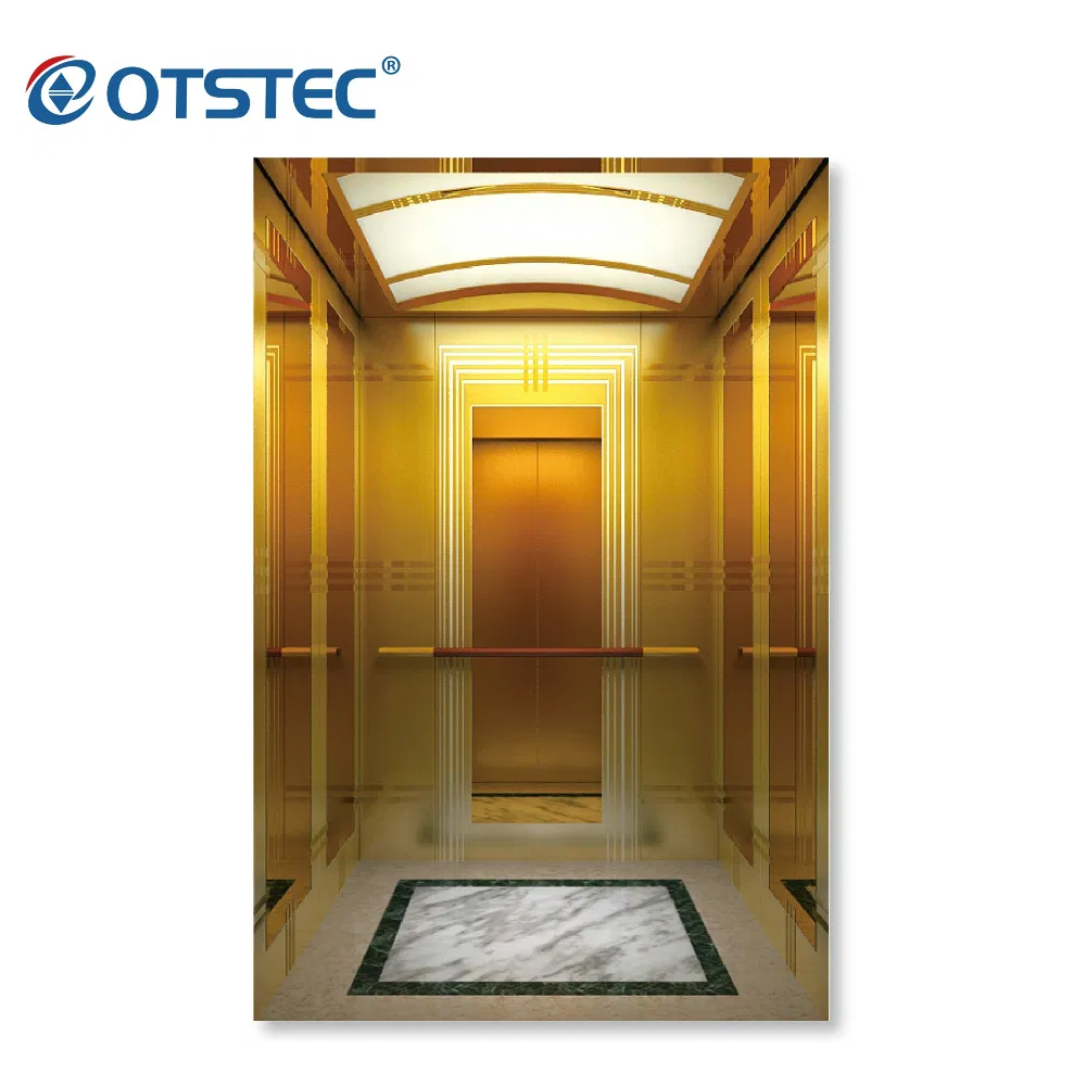 Safety Stainless Steel Mirror Luxury Gearless Residential Home Elevator Passenger Lift